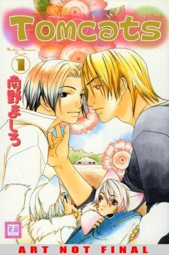 Cover of Tomcats