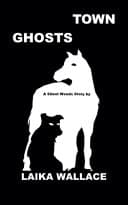 Cover of Town Ghosts