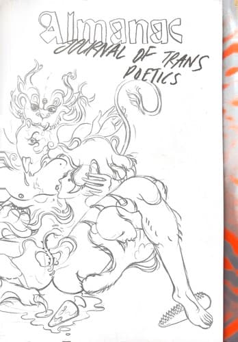 Cover of Trans Sexuality