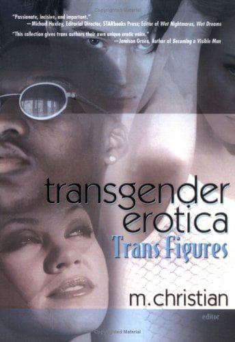 Cover of Transgender erotica