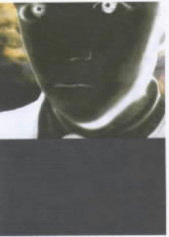 Cover of Vincent River