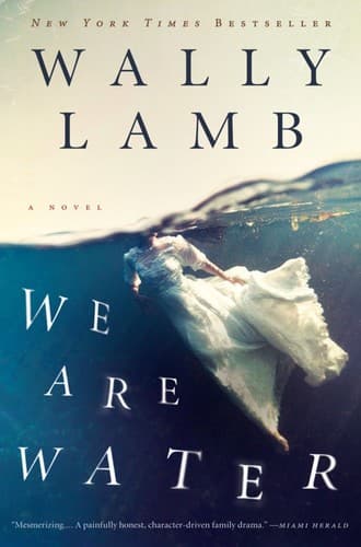Cover of We are water