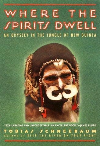 Cover of Where the Spirits Dwell