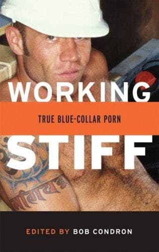 Cover of Working Stiff