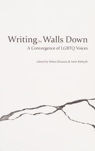 Cover of Writing the walls down