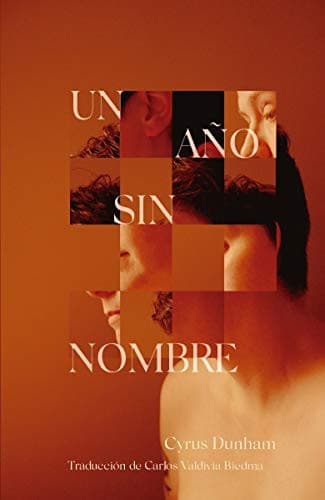 Cover of Year Without a Name