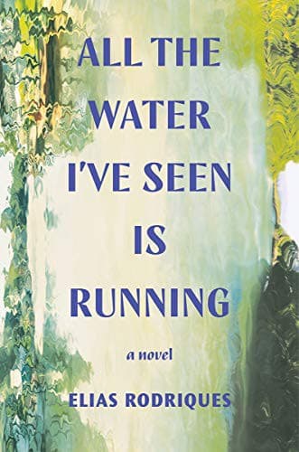 Cover of All the Water I've Seen Is Running