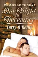 Cover of David and Andrew Book 1 One Night in December