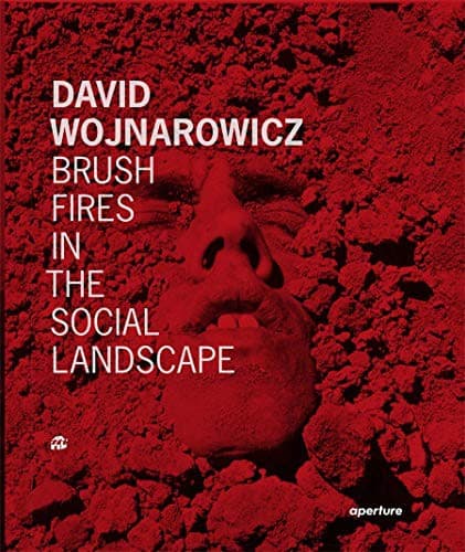 Cover of David Wojnarowicz : Brush Fires in the Social Landscape