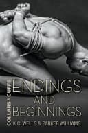 Cover of Endings and Beginnings
