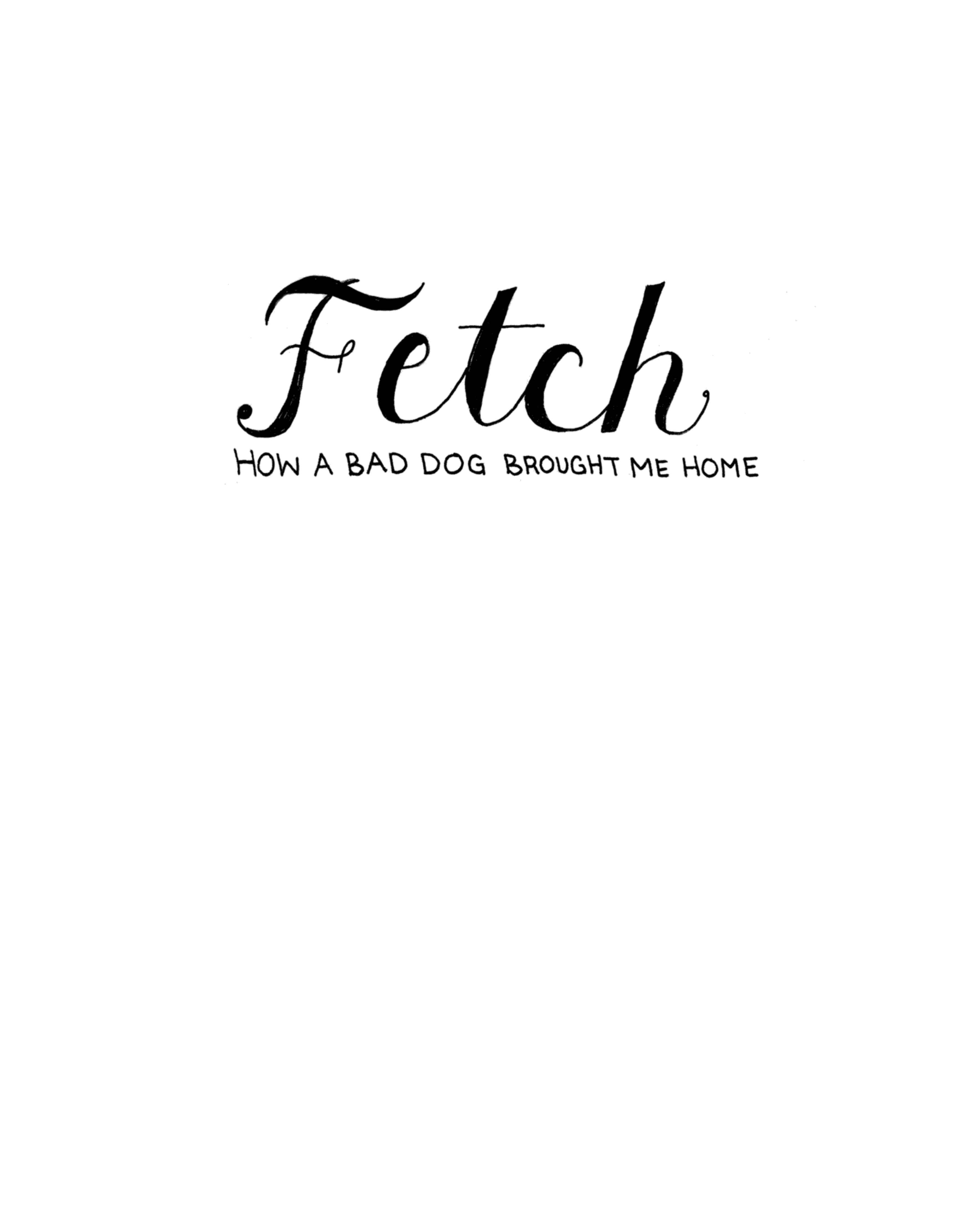 Cover of Fetch: How a Bad Dog Brought Me Home
