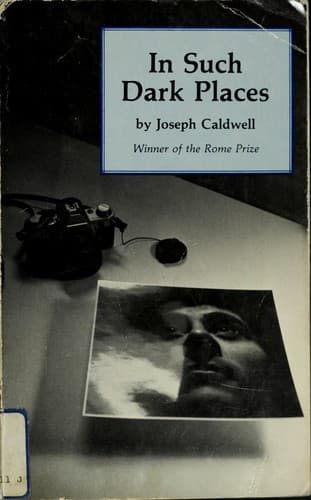 Cover of In Such Dark Places