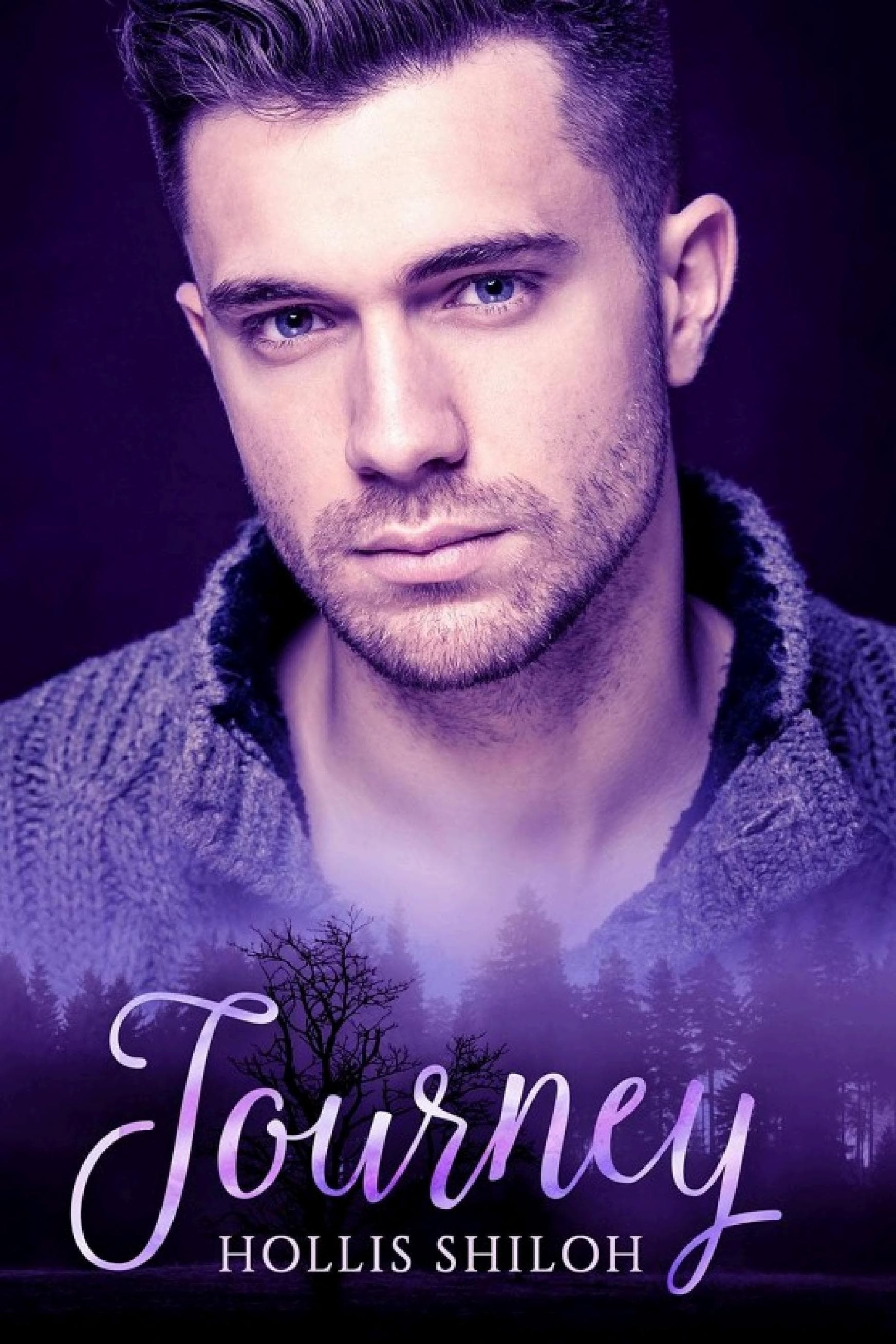 Cover of Journey