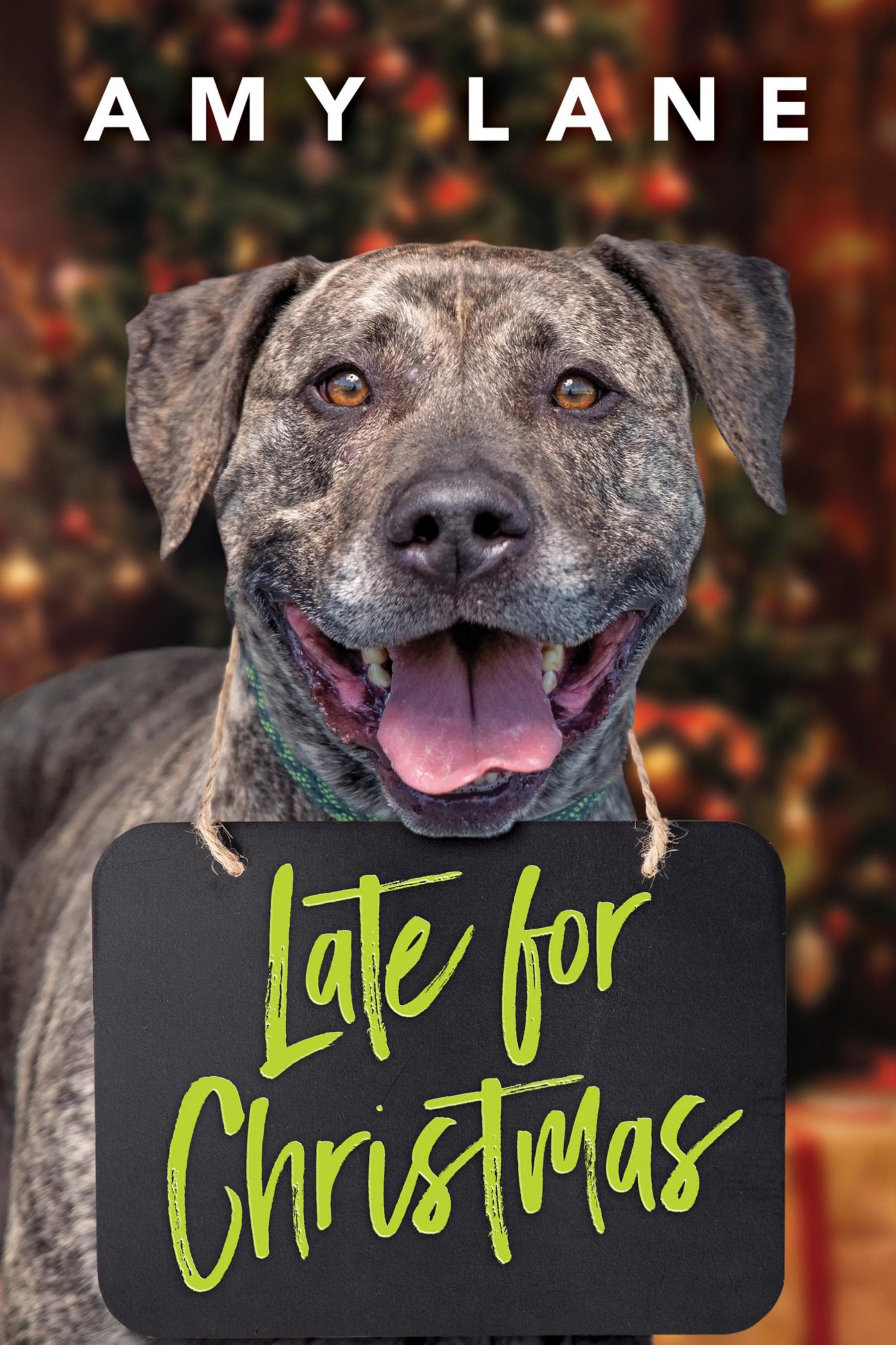 Cover of Late for Christmas