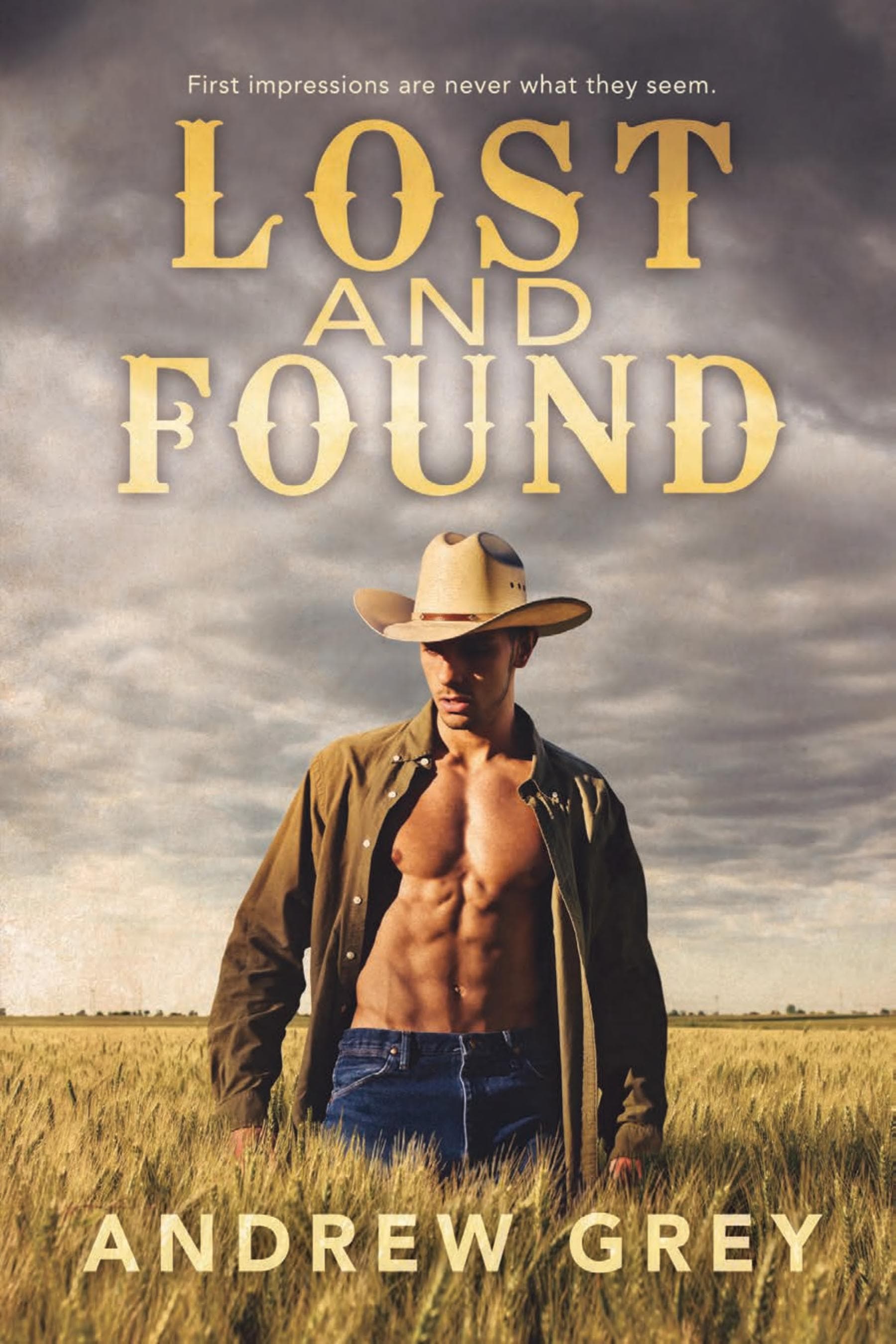 Cover of Lost and Found