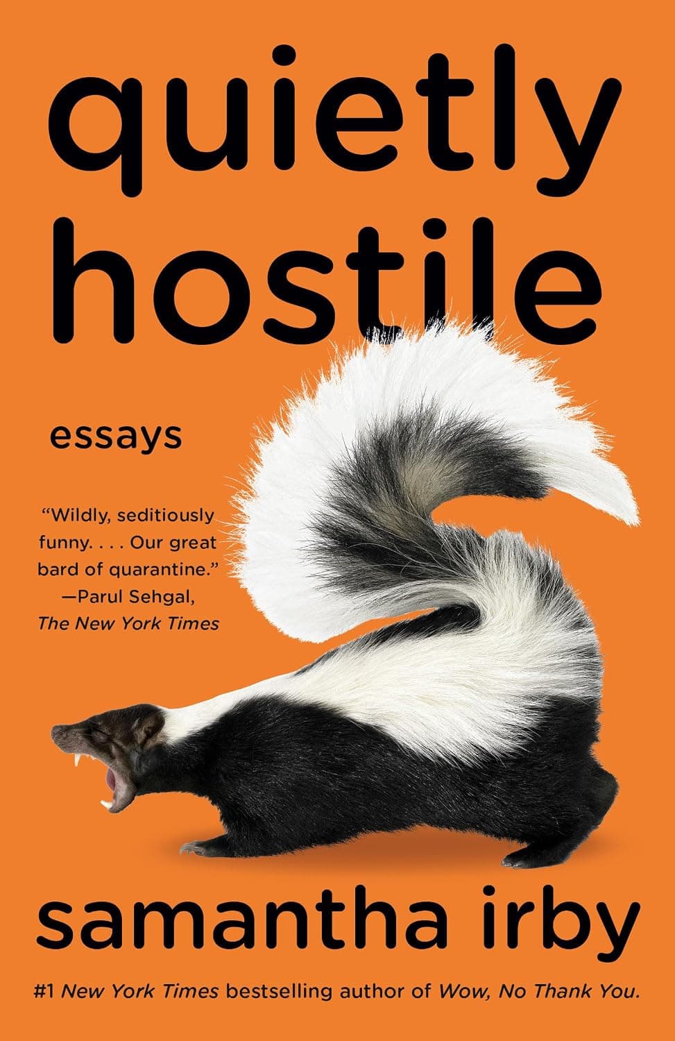 Cover of Quietly Hostile: Essays