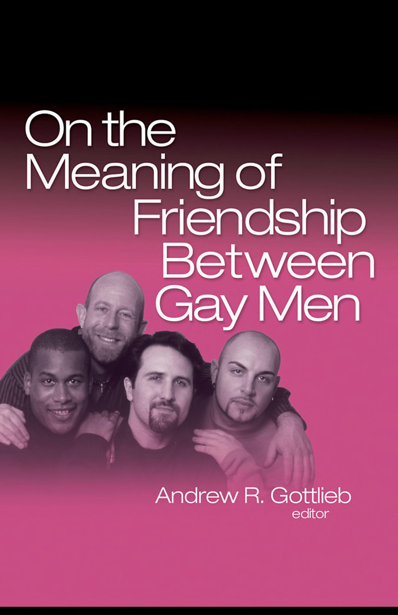 Cover of On the Meaning of Friendship Between Gay Men