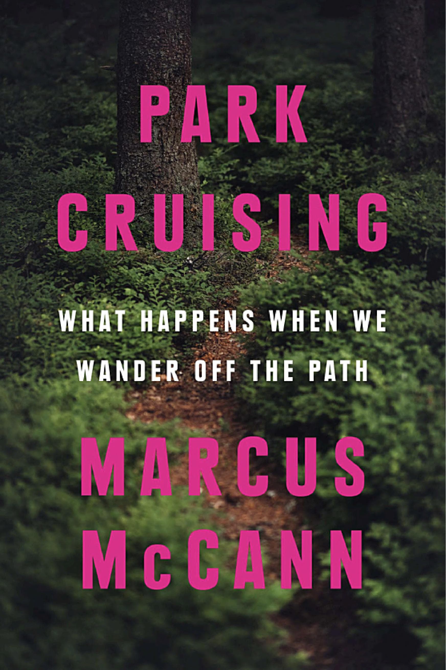 Cover of Park Cruising: What Happens When We Wander Off the Path