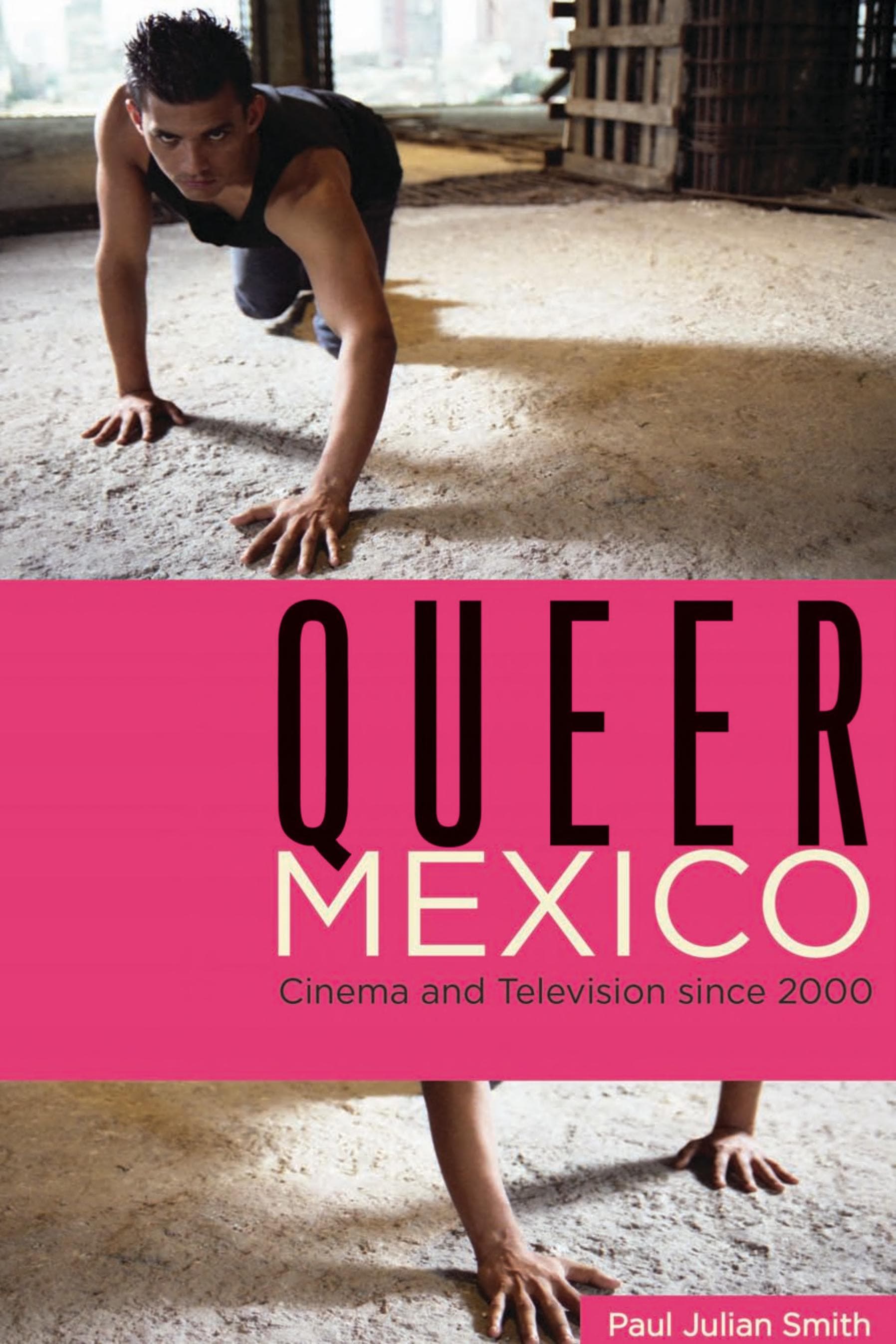 Cover of Queer Mexico: Cinema and Television Since 2000