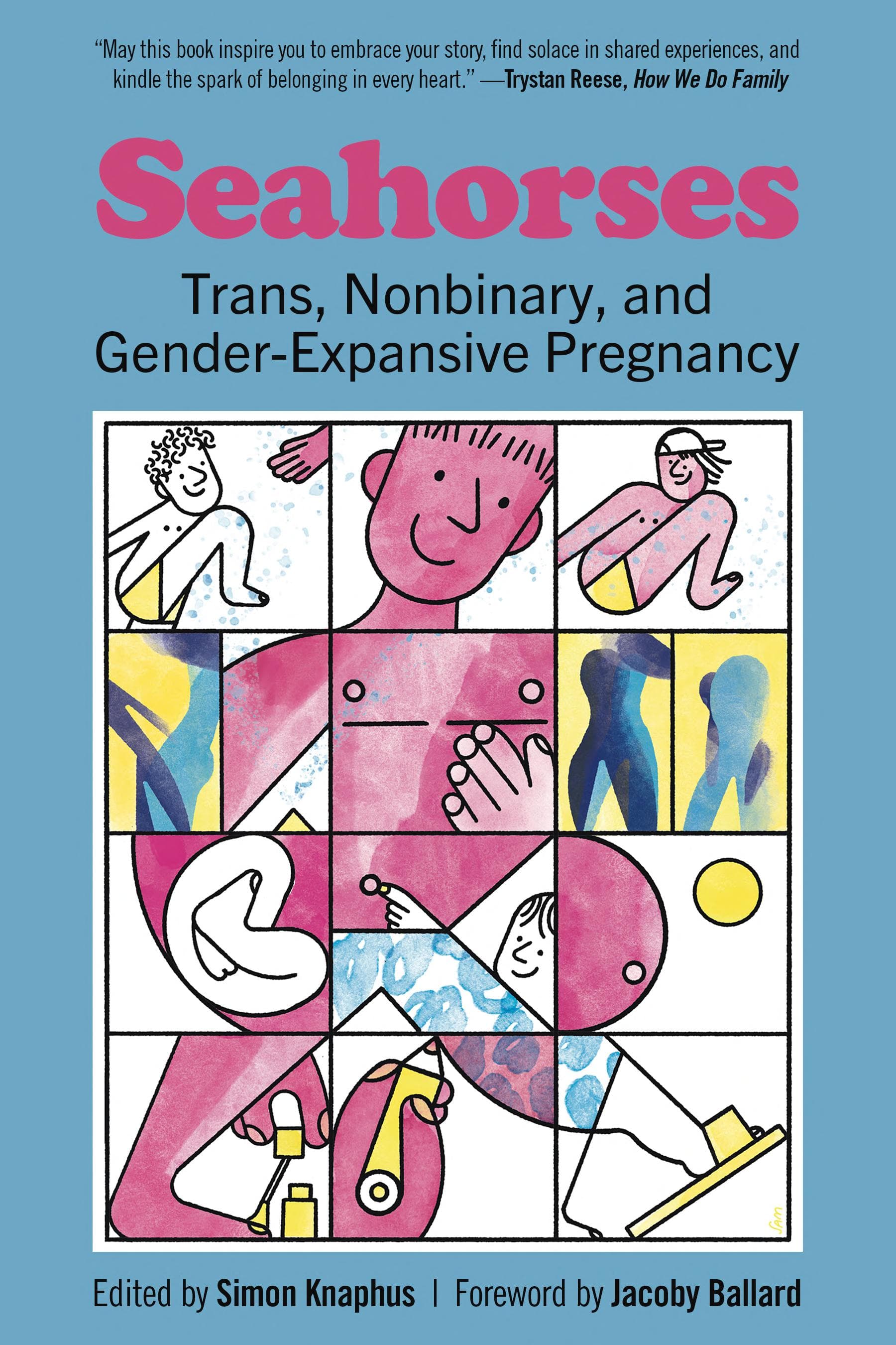 Cover of Seahorses: Trans, Nonbinary, and Gender-Expansive Pregnancy