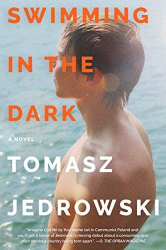 Cover of Swimming in the Dark A Novel