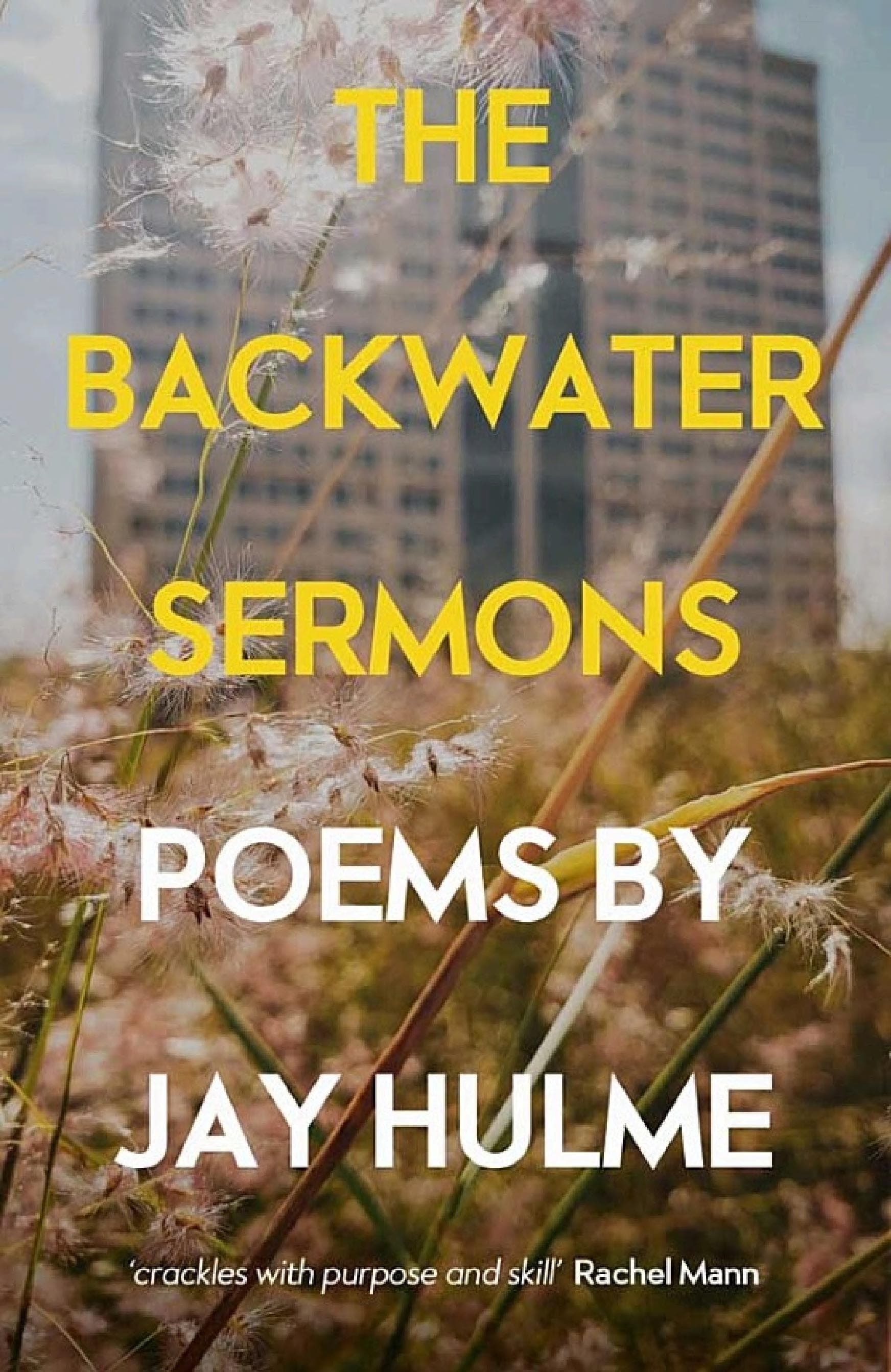 Cover of The Backwater Sermons