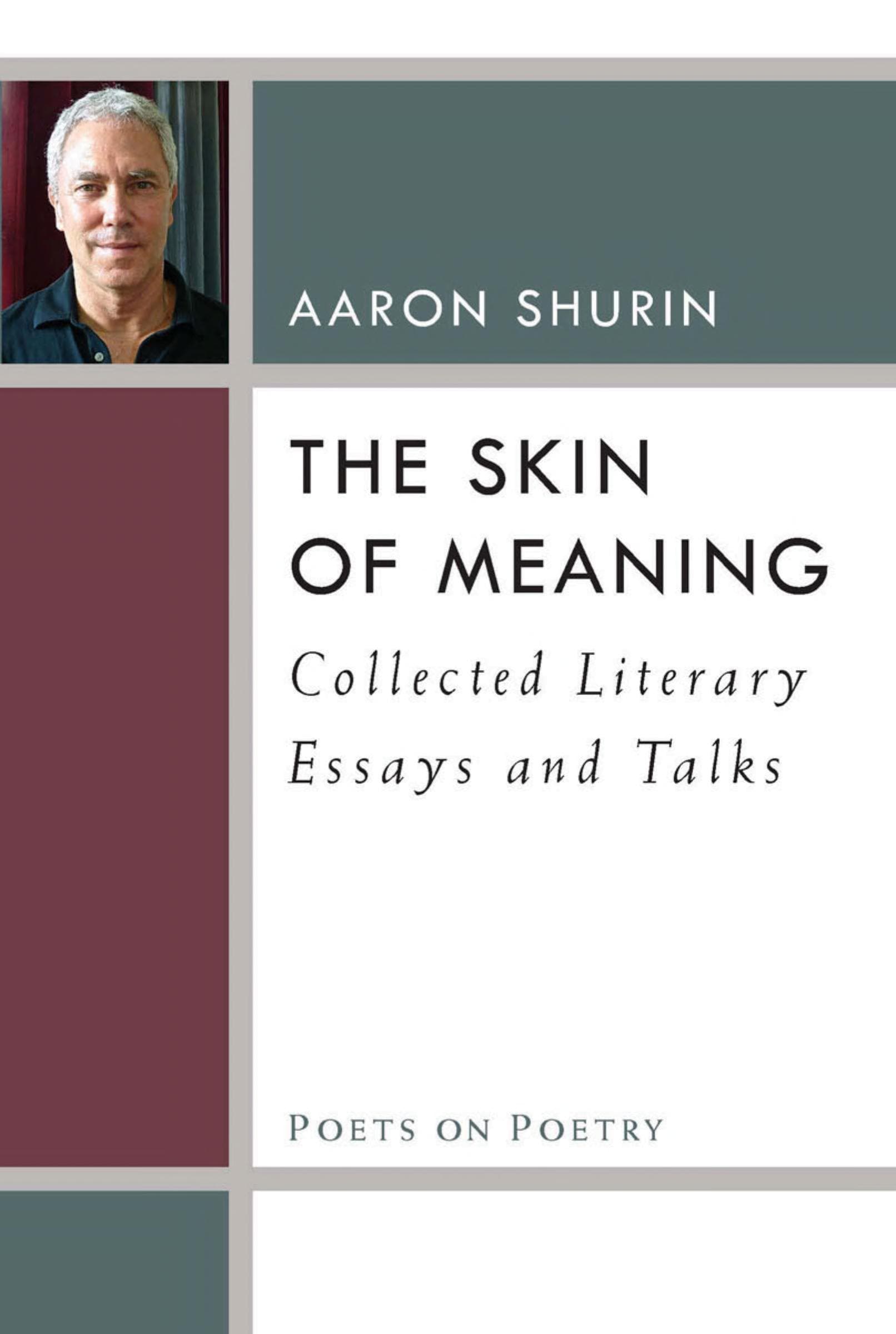 Cover of The Skin of Meaning