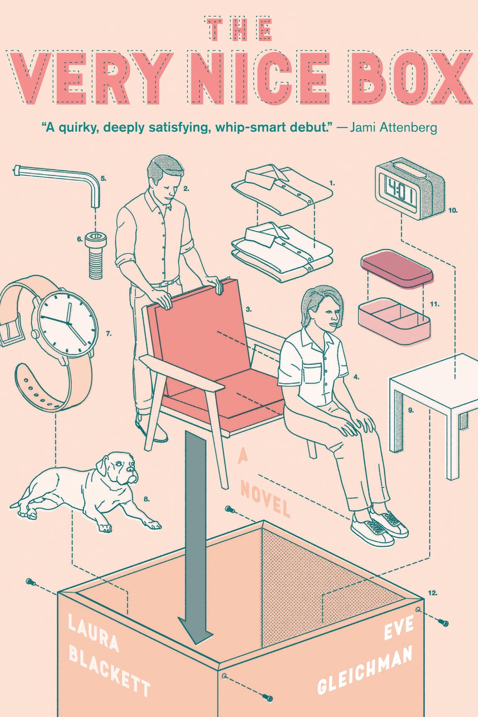 Cover of The Very Nice Box